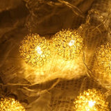 10 LED Fairy Lamp