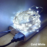 5/10M USB Powered Garland LED